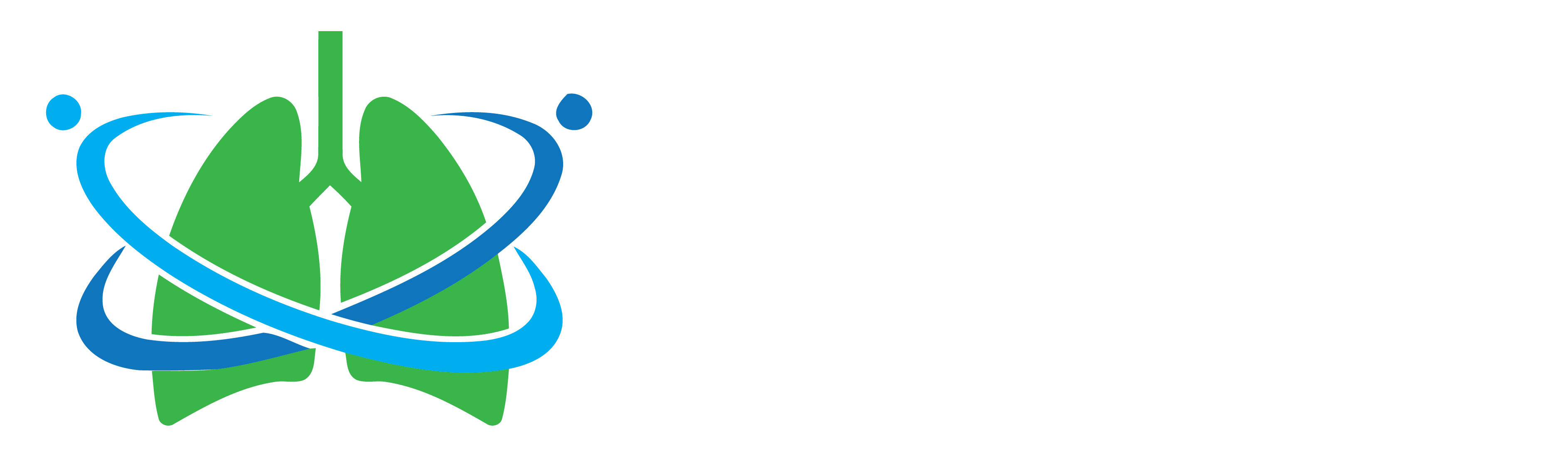 EBM Health Care Strategies